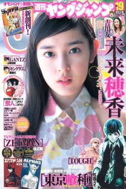 玫瑰骑士电视剧