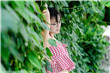 李宜儒