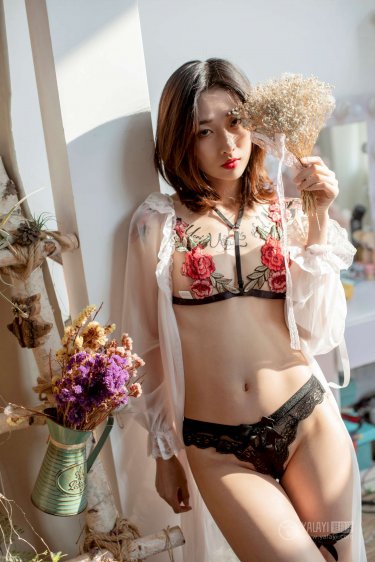 忍冬艳蔷薇