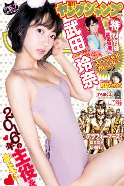 小麻雀