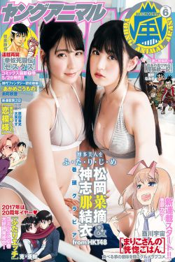 打黑风暴22集全