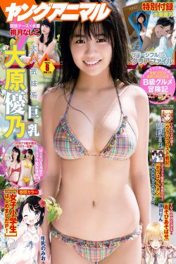 乡村爱情故事2