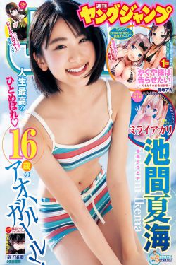 北方有佳人电视剧全集免费观看